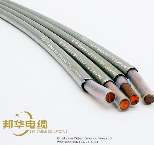裸导管电缆